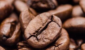Кофеин сделал грибки устойчивее к лекарствам