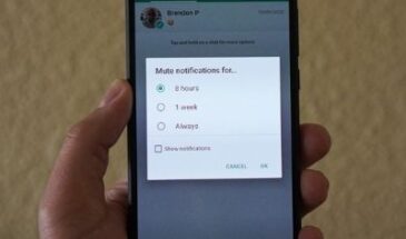 В WhatsApp появилась долгожданная функция