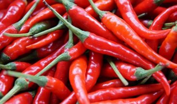Ученые разработали гаджет для определения остроты перца