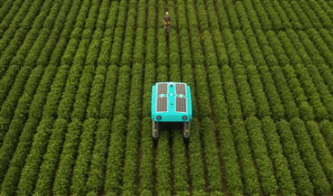 Alphabet разработала роботизированный багги для сельского хозяйства