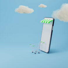 Как проще всего создать интернет-магазин в облаке: способы развертывания и апгрейд до уровня PRO