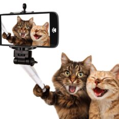 вы и ваш компьютер журнал официальный сайт cats gf164a66de 1920 e1633960665244