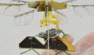 Инженеры Toyota создали двухграммового робота, машущего крыльями