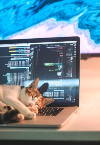 Обойдемся без кода: могут ли зерокодеры заменить программистов