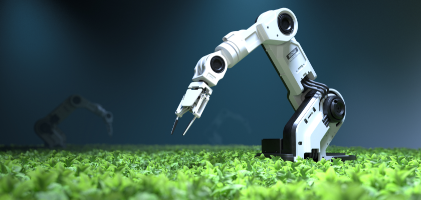 «Роль людей же — быть потребителями»: как роботы вытесняют айтишников