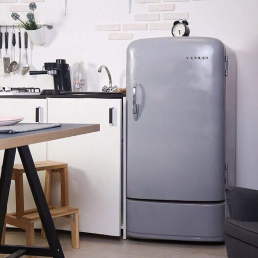 В России возобновили производство холодильников «Мир» — спустя 30-летнего перерыва