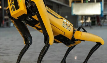 Посмотрите, как стая робособак Boston Dynamics украсила елку