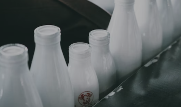 Наталья Касперская запустила компанию по производству молока и молочной продукции