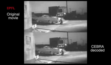 Ученые смотрели видео глазами мыши