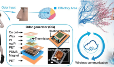 Новая разработка добавит запахи в VR