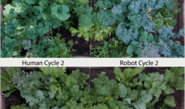 История о том, как робот помогает в садоводстве