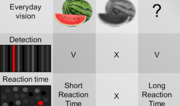Генная терапия помогла в лечении дальтонизма