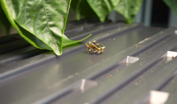 Появился миниатюрный робот, который работает от света