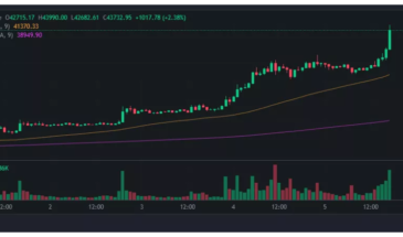 Курс биткоина превысил 43 000 долларов