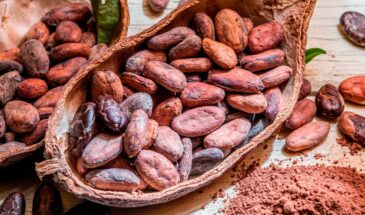 Блокчейн-технологии помогут фермерам заработать больше на их какао-продукции