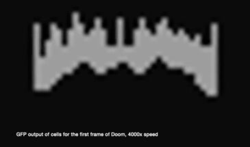 Заставку культовой игры DOOM вывели на дисплей из клеток кишечной палочки