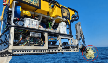 Робот-додекаэдр ищет в морских глубинах новые виды существ