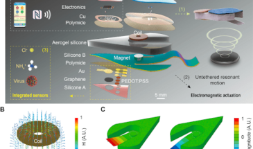 Китайские биоинженеры создали робота-пловца для исследования водопроводной сети