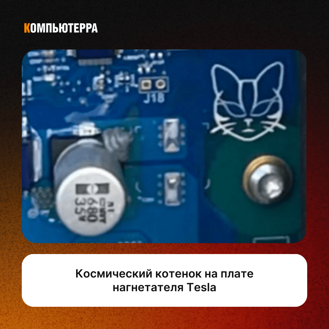 рисунок инопланетного котенка