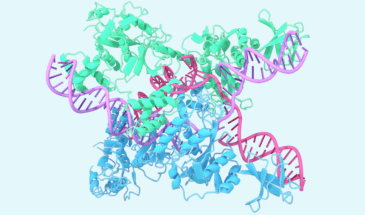 Google DeepMind представила AlphaFold 3 и веб-приложение на базе этой модели