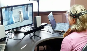 В России разработана модель ИИ, способная распознавать эмоции