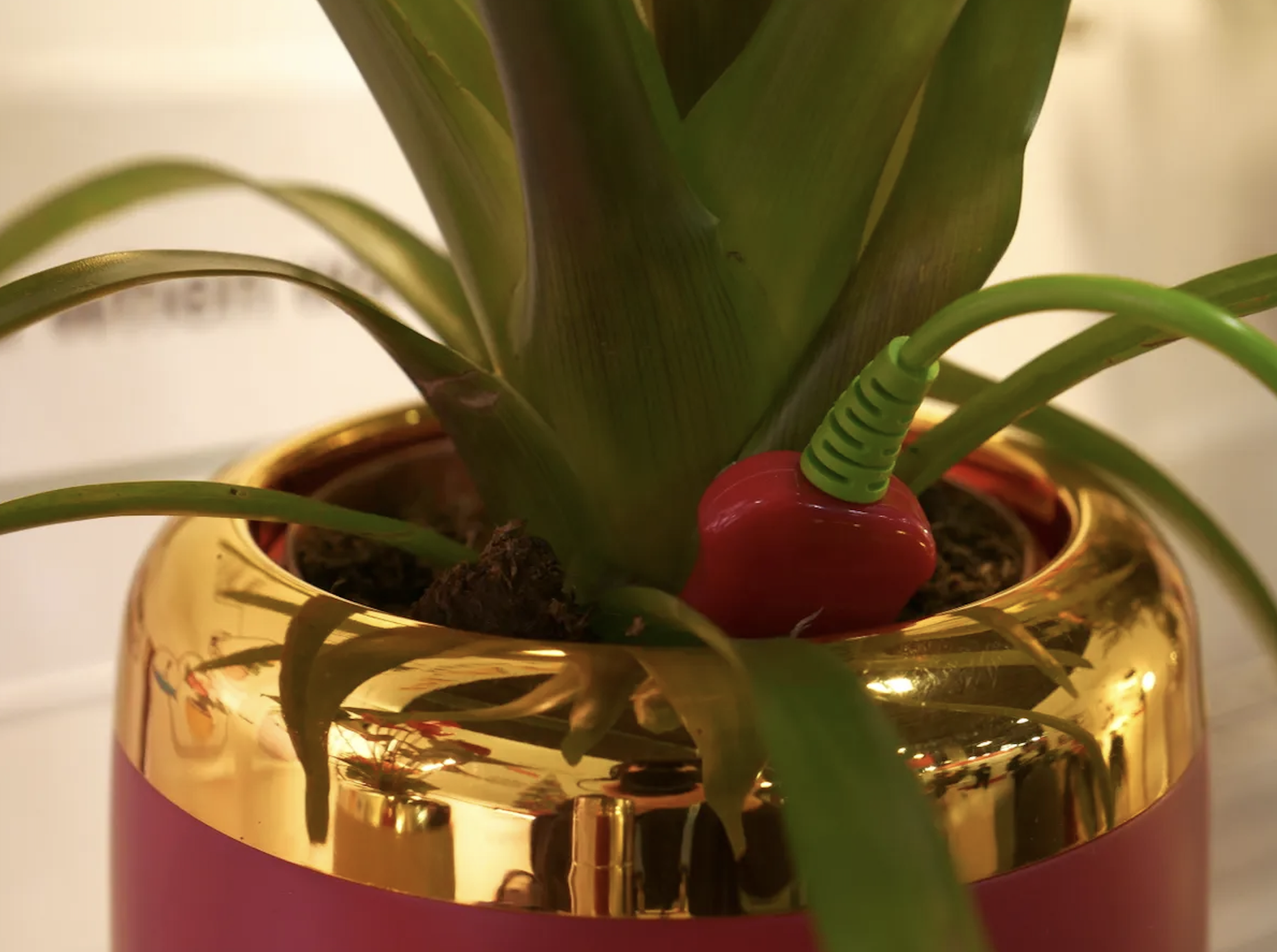 PlantPetz