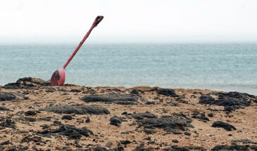 Аналитический Центр Лесного и Сельского Хозяйства определил мазутные загрязнения в Черном море с помощью спутников и ИИ
