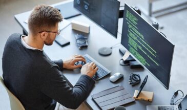 В России зафиксирован рост числа ИП и снижение регистраций ООО в ИТ-сфере