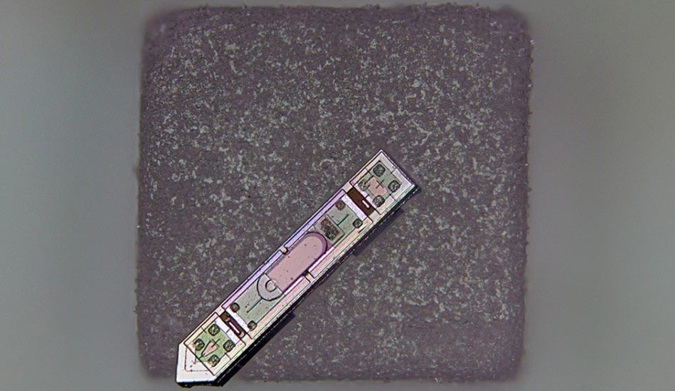 Создан самый маленький в мире беспроводной мозговой имплантат