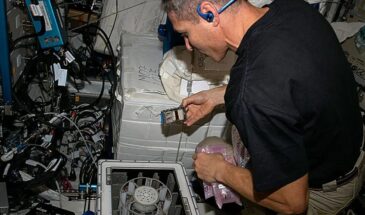 Микробы на МКС извлекли металлы из метеорита в условиях невесомости