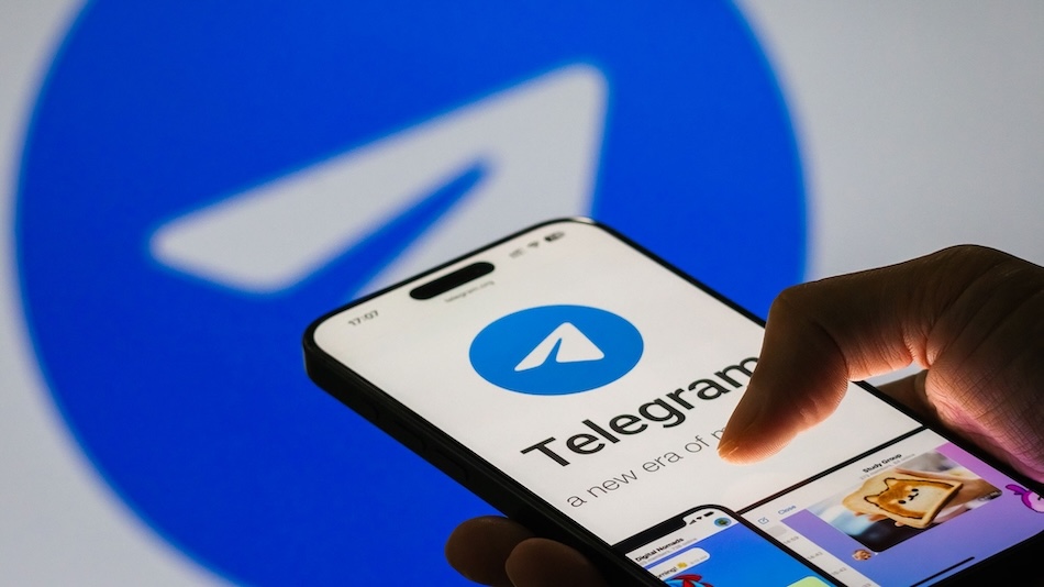 В отношении Telegram зарегистрировано семь административных протоколов о нарушении законодательства