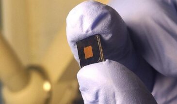 Ученые НГУ создали наносенсор для раннего выявления рака