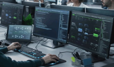 75% ИТ-компаний готовы обучать сотрудников с нуля