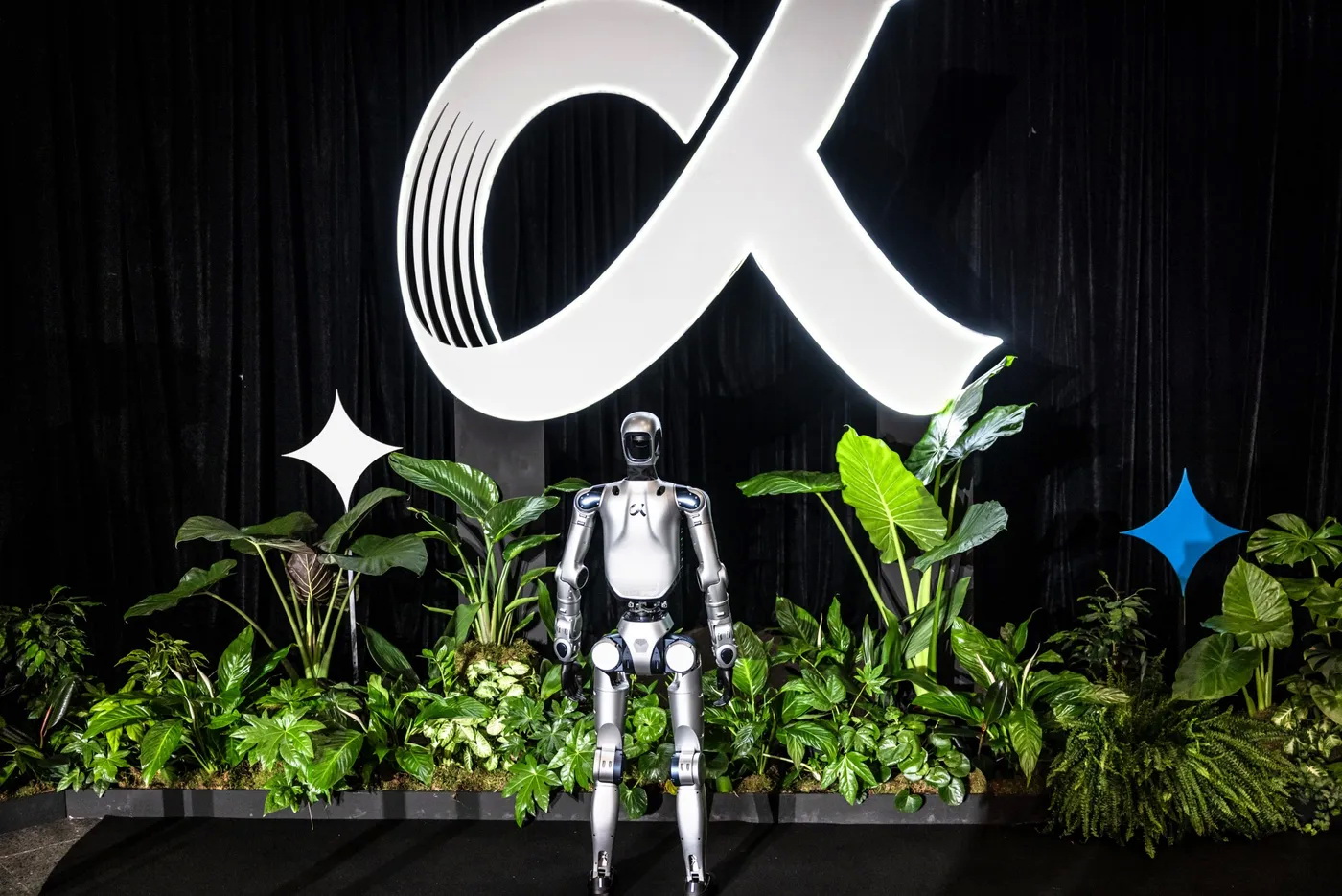 Honor Humanoid Robot