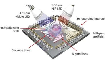 Искусственная сетчатка с электродами из жидкого металла поможет вернуть зрение