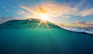 Светоактивируемые микромоторы извлекают уран из океана