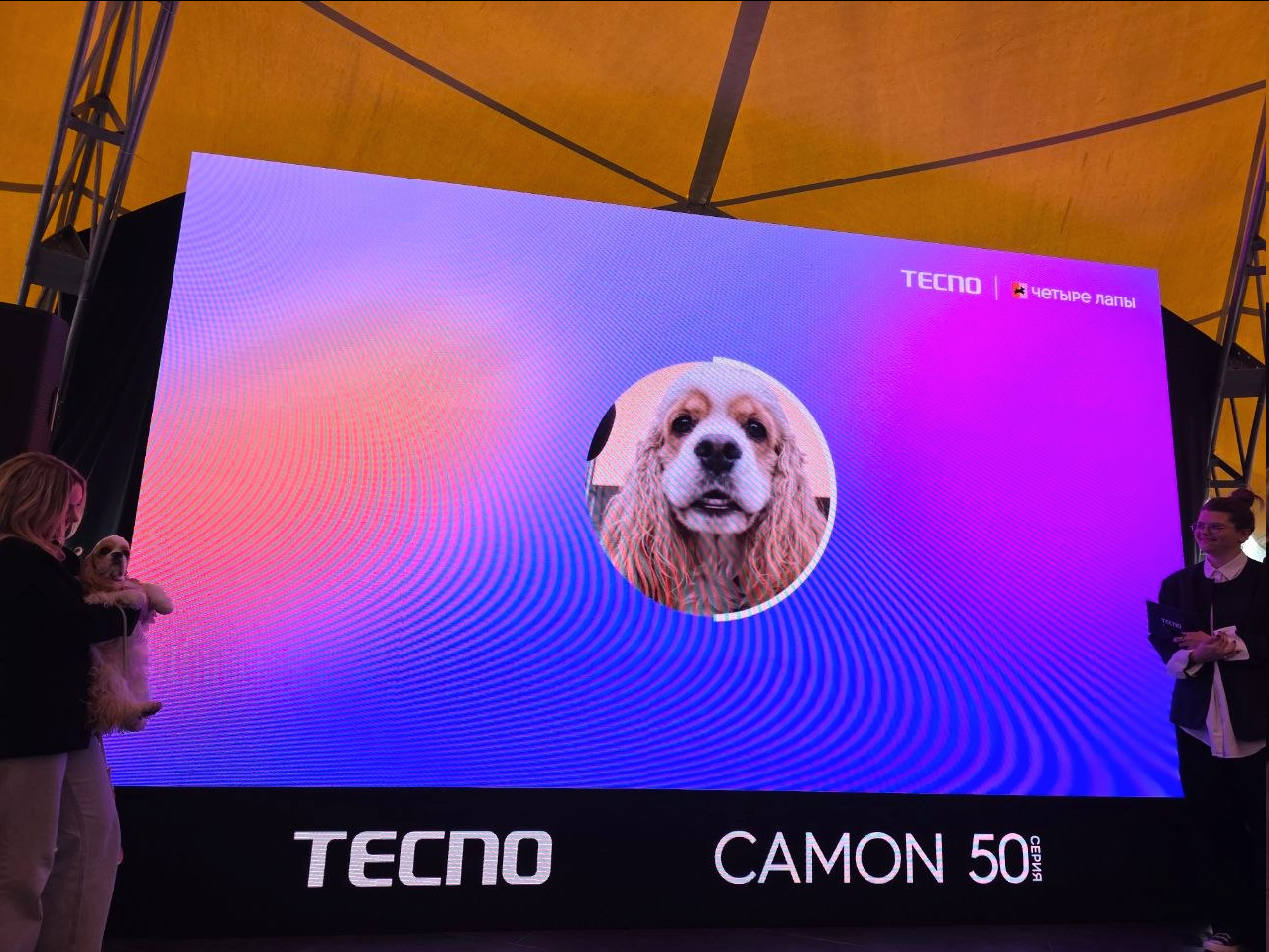 Серия смартфонов CAMON 50 от TECNO вышла в России 