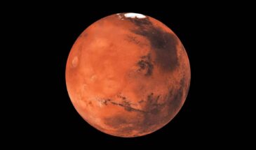 Живучий грибок с Земли заселит Марс раньше людей