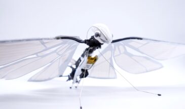 3D-модель поможет создать биомиметических летающих роботов