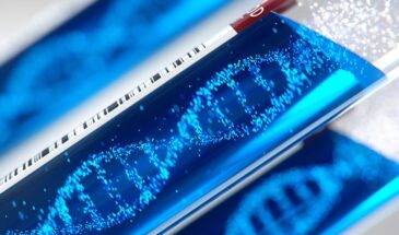 Ученые создали первую искусственную форму жизни — бактерию из 19 аминокислот вместо 20