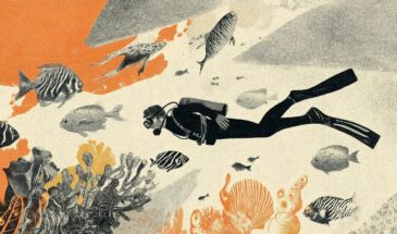 Сиквел, который боится собственной глубины. Обзор ранней версии Subnautica 2