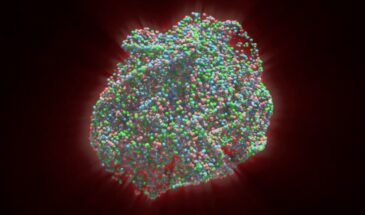 Большой адронный коллайдер воссоздал условия ранней Вселенной в столкновениях легких ядер