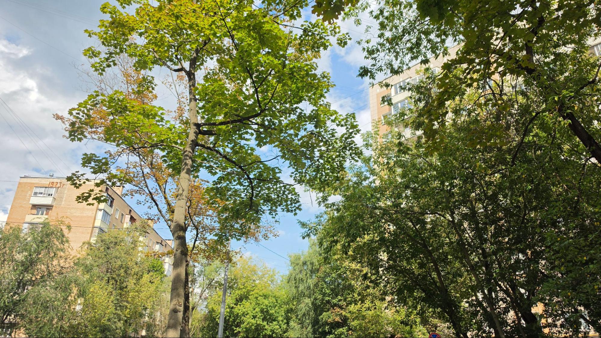 Основная камера