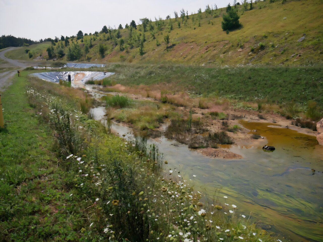 Из шахтной воды начали добывать редкоземельные металлы