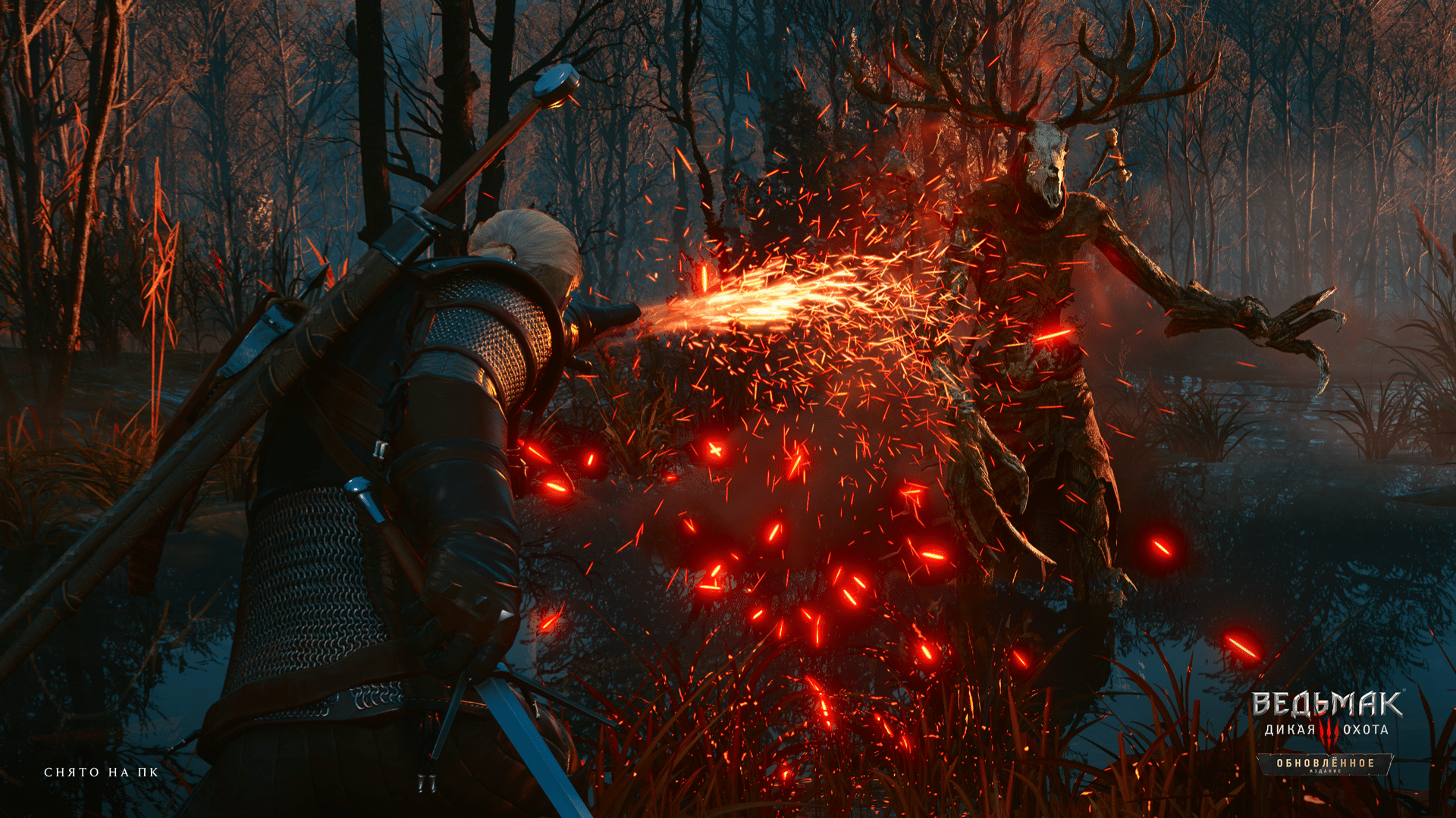 Источник: thewitcher.com