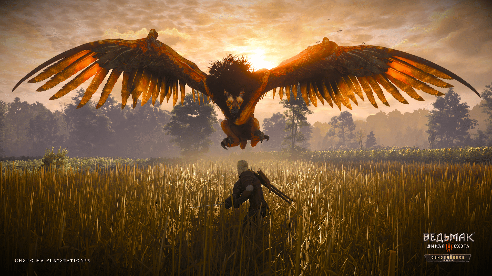 Источник: thewitcher.com