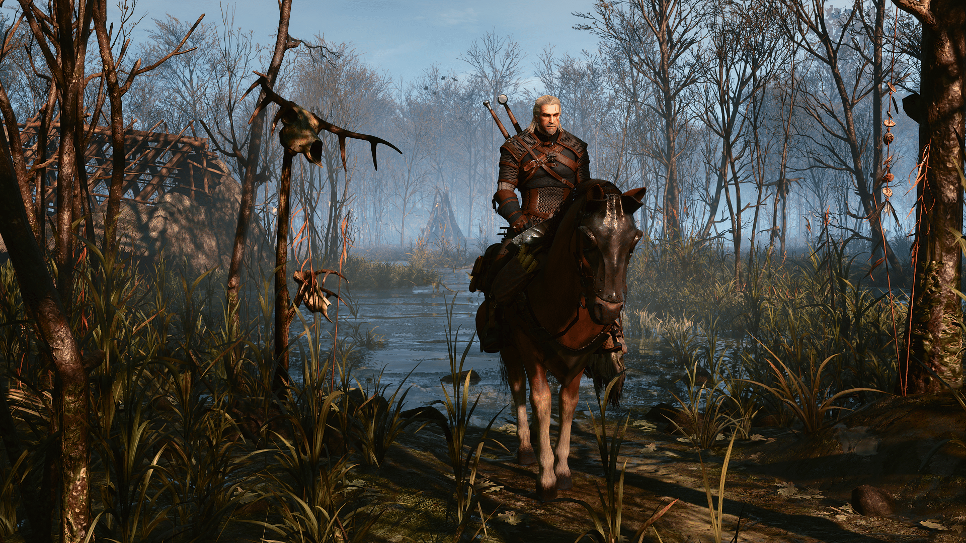 Источник: thewitcher.com