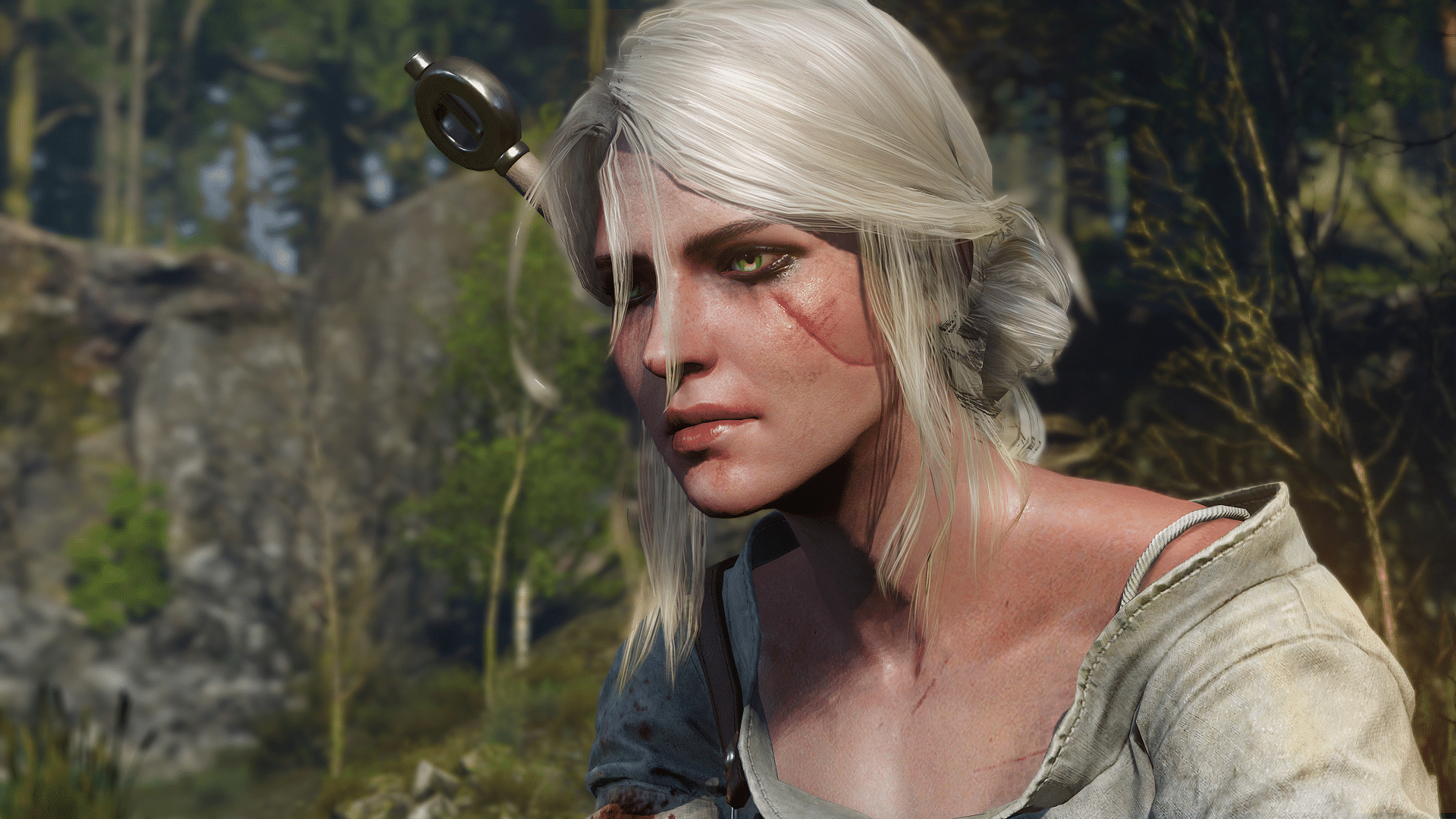 Источник: thewitcher.com