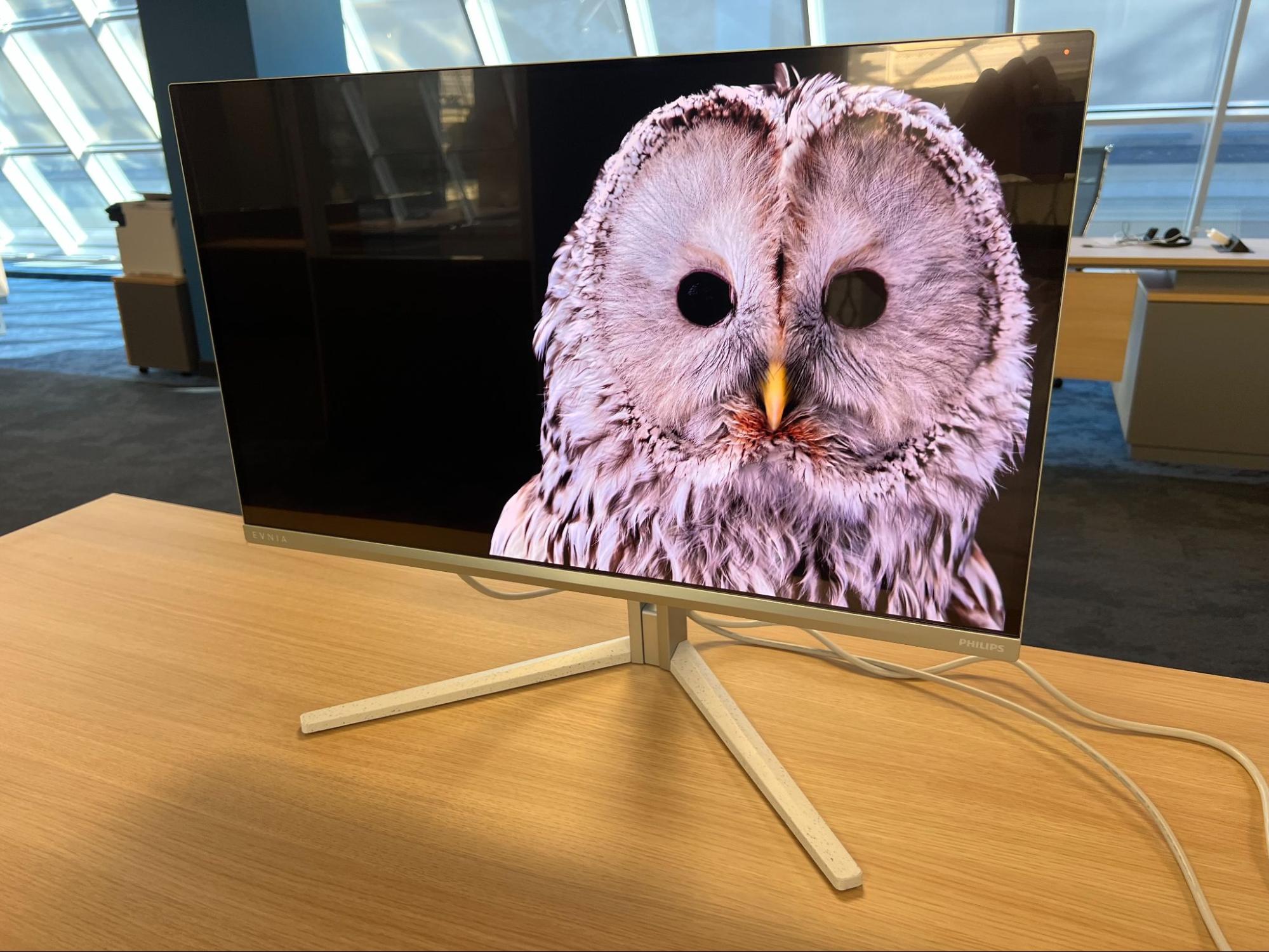 Сова крупным планом на экране монитора Philips Evnia с глубоким черным фоном